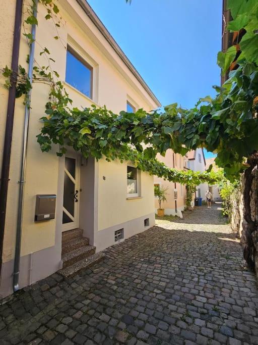 Casa Ciconia - Ueber Den Daechern Der Altstadt Freinsheim Extérieur photo