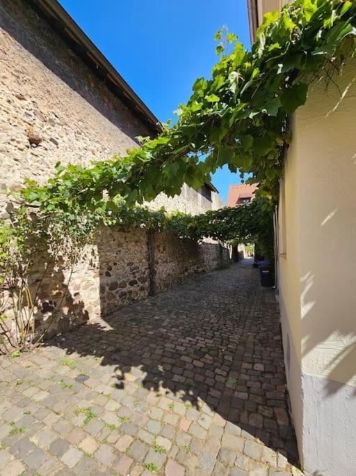 Casa Ciconia - Ueber Den Daechern Der Altstadt Freinsheim Extérieur photo