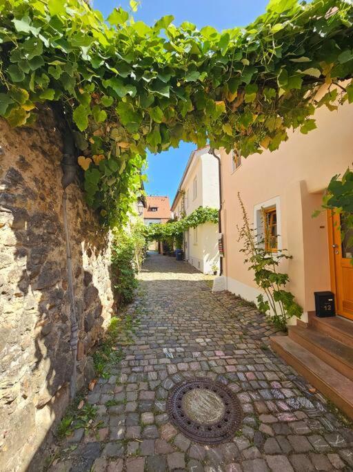 Casa Ciconia - Ueber Den Daechern Der Altstadt Freinsheim Extérieur photo